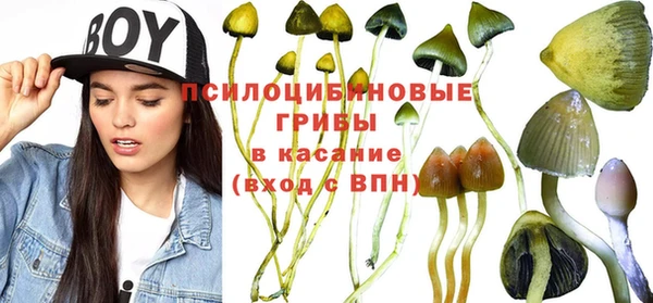 твердый Баксан